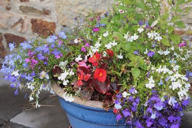 Casa de vacaciones en Camelford (South West)Casa de vacaciones