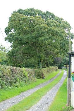 Casa de vacaciones en Camelford (South West)Casa de vacaciones