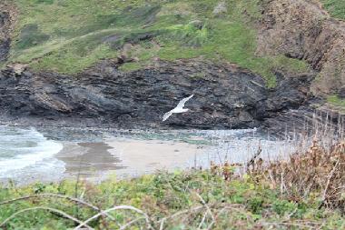 Casa de vacaciones en Camelford (South West)Casa de vacaciones