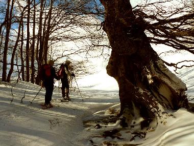 Casa de vacaciones en San Pietro della Ienca (L