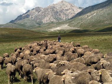 Casa de vacaciones en San Pietro della Ienca (L