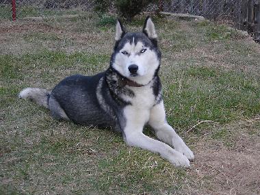 Apartamento de vacaciones en Tryavna (Gabrovo)Casa de vacaciones