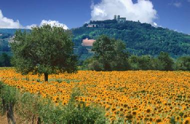 Casa de vacaciones en Saint Pere (Yonne)Casa de vacaciones