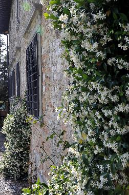 Cama y desayuno en Scarperia (Firenze)Casa de vacaciones