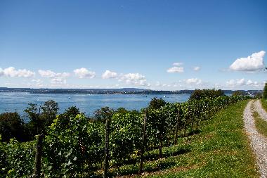 Apartamento de vacaciones en Markdorf (Bodensee)Casa de vacaciones