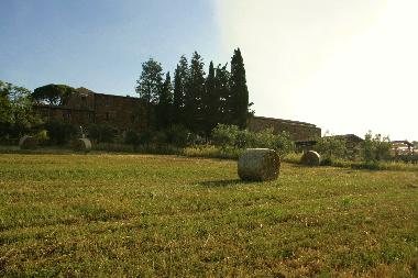 Apartamento de vacaciones en Campiglia Marittima (Livorno)Casa de vacaciones