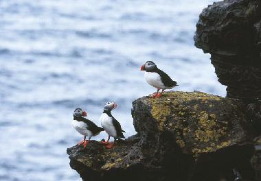 Apartamento de vacaciones en Isafjordur (Isafjordur)Casa de vacaciones
