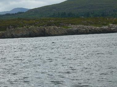 Casa de vacaciones en Tuosist (Kerry)Casa de vacaciones