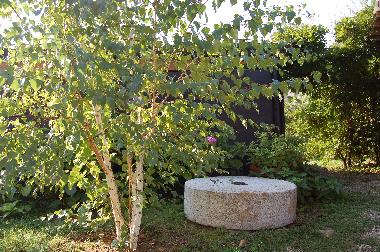 Apartamento de vacaciones en Reggello-Fi (Firenze)Casa de vacaciones