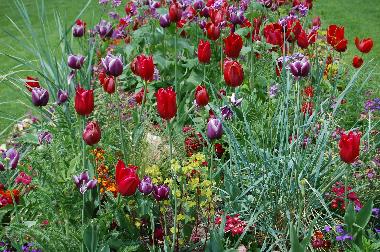 Apartamento de vacaciones en Reggello-Fi (Firenze)Casa de vacaciones