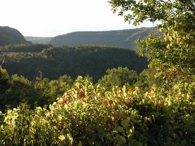 Casa de vacaciones en Penne, Cordes, Vaour, Gaillac, Montauban, St. Anto (Tarn)Casa de vacaciones