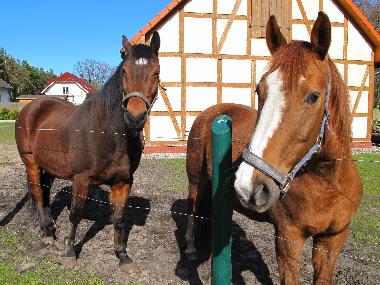 Casa de vacaciones en Nowe Warpno (Zachodniopomorskie)Casa de vacaciones