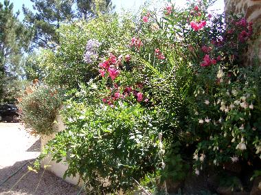 Cama y desayuno en Caneiro - Ma��s de Dona Maria (Pinhal Litoral)Casa de vacaciones