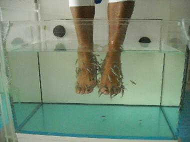 Apartamento de vacaciones en Sta. Maria (Sal)Casa de vacaciones