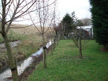 Apartamento de vacaciones en scharendijke (Zeeland)Casa de vacaciones