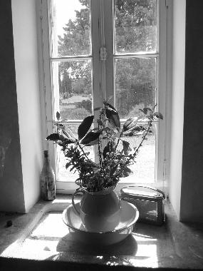 Casa de vacaciones en St Martin Petit  (Lot-et-Garonne)Casa de vacaciones