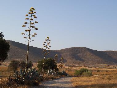 Apartamento de vacaciones en AGUA AMARGA (Almera)Casa de vacaciones