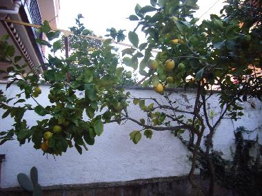 Apartamento de vacaciones en Anzio - Lavinio (Roma)Casa de vacaciones