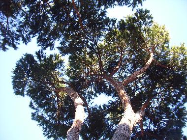 Apartamento de vacaciones en Anzio - Lavinio (Roma)Casa de vacaciones