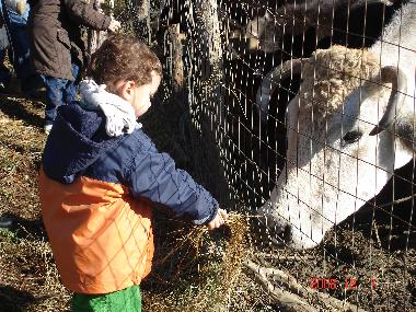 Chalet en anagni (Roma)Casa de vacaciones
