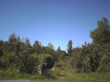 Casa de vacaciones en Dampierre sur Boutonne (Charente-Maritime)Casa de vacaciones