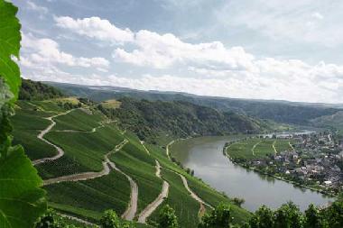 Apartamento de vacaciones en Piesport (Mosel - Saar)Casa de vacaciones
