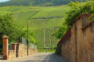 Apartamento de vacaciones en Piesport (Mosel - Saar)Casa de vacaciones