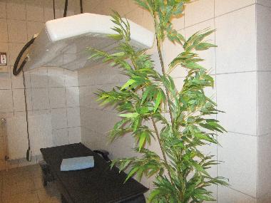 Apartamento de vacaciones en Friedeburg (Nordsee-Festland / Ostfriesland)Casa de vacaciones