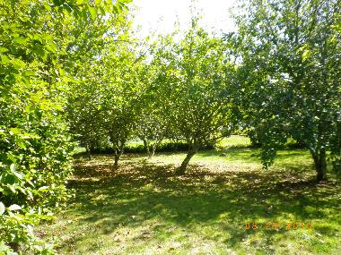 Casa de vacaciones en Beuzec Cap Sizun (Finist�re)Casa de vacaciones