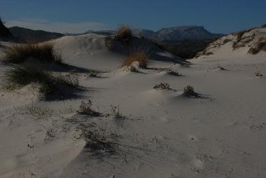 Casa de vacaciones en Budoni (Olbia-Tempio)Casa de vacaciones