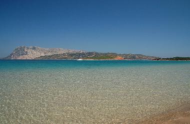 Casa de vacaciones en Budoni (Olbia-Tempio)Casa de vacaciones