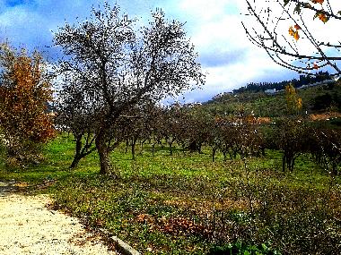 Chalet en alfacar (Granada)Casa de vacaciones