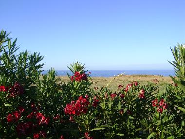 Apartamento de vacaciones en Monopoli (Bari)Casa de vacaciones