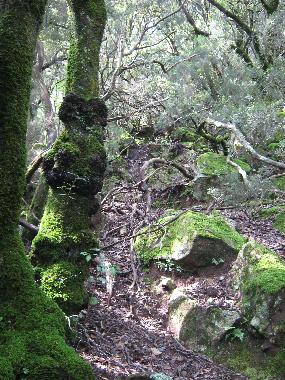 Casa de vacaciones en Ghisonaccia (Haute-Corse)Casa de vacaciones