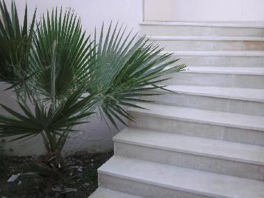 Villa en palmerais (Tunis)Casa de vacaciones