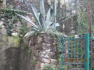 Villa en Casarza Ligure (Genova)Casa de vacaciones