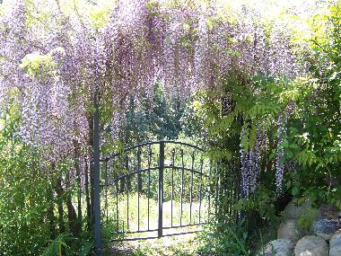 Casa de vacaciones en Travo (Haute-Corse)Casa de vacaciones