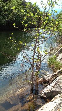 Casa de vacaciones en Travo (Haute-Corse)Casa de vacaciones