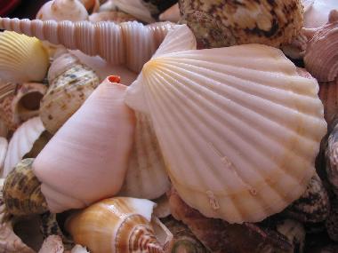 Casa de vacaciones en Travo (Haute-Corse)Casa de vacaciones