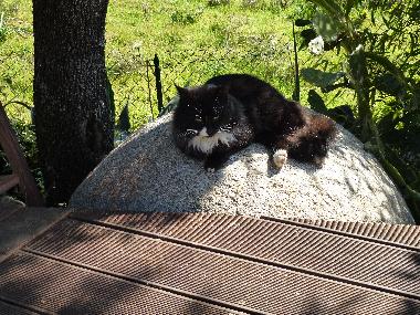 Casa de vacaciones en Travo (Haute-Corse)Casa de vacaciones