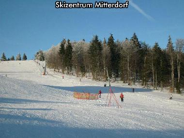 Casa de vacaciones en Mitterfirmiansreut (Mitterdorf) (Niederbayern)Casa de vacaciones