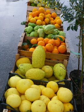 Apartamento de vacaciones en Tonnarella (Messina)Casa de vacaciones