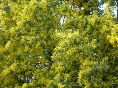 Apartamento de vacaciones en MENTON (Alpes-Maritimes)Casa de vacaciones