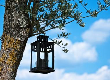 Villa en Boljun (Istarska)Casa de vacaciones