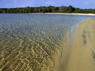Apartamento de vacaciones en cazaux (Gironde)Casa de vacaciones