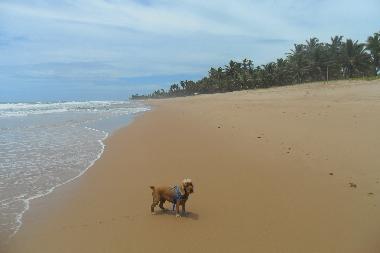 Casa de vacaciones en Salvador (Bahia)Casa de vacaciones