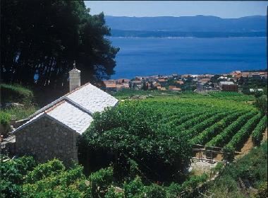 Apartamento de vacaciones en Island of Brac -Bol (Splitsko-Dalmatinska)Casa de vacaciones