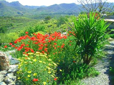 Apartamento de vacaciones en Purias (Murcia)Casa de vacaciones