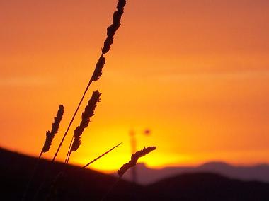 Apartamento de vacaciones en Purias (Murcia)Casa de vacaciones