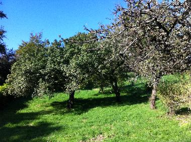 Casa de vacaciones en Newry (Northern Ireland)Casa de vacaciones